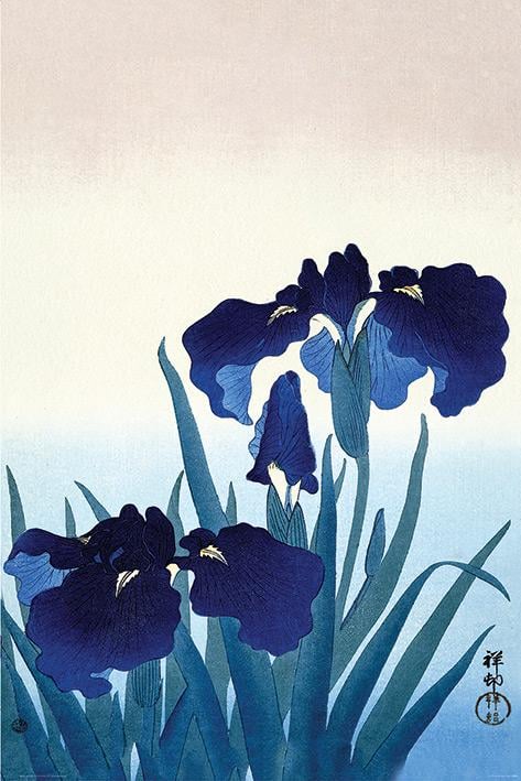 Постер плакат Охара Косон Цветы Ириса/Ohara Koson Iris Flowers 61x91,5 см