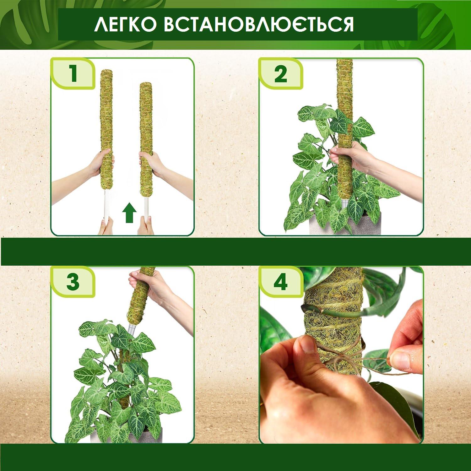 Опора из мха для комнатных растений Моховой столб 60/6 см - фото 5