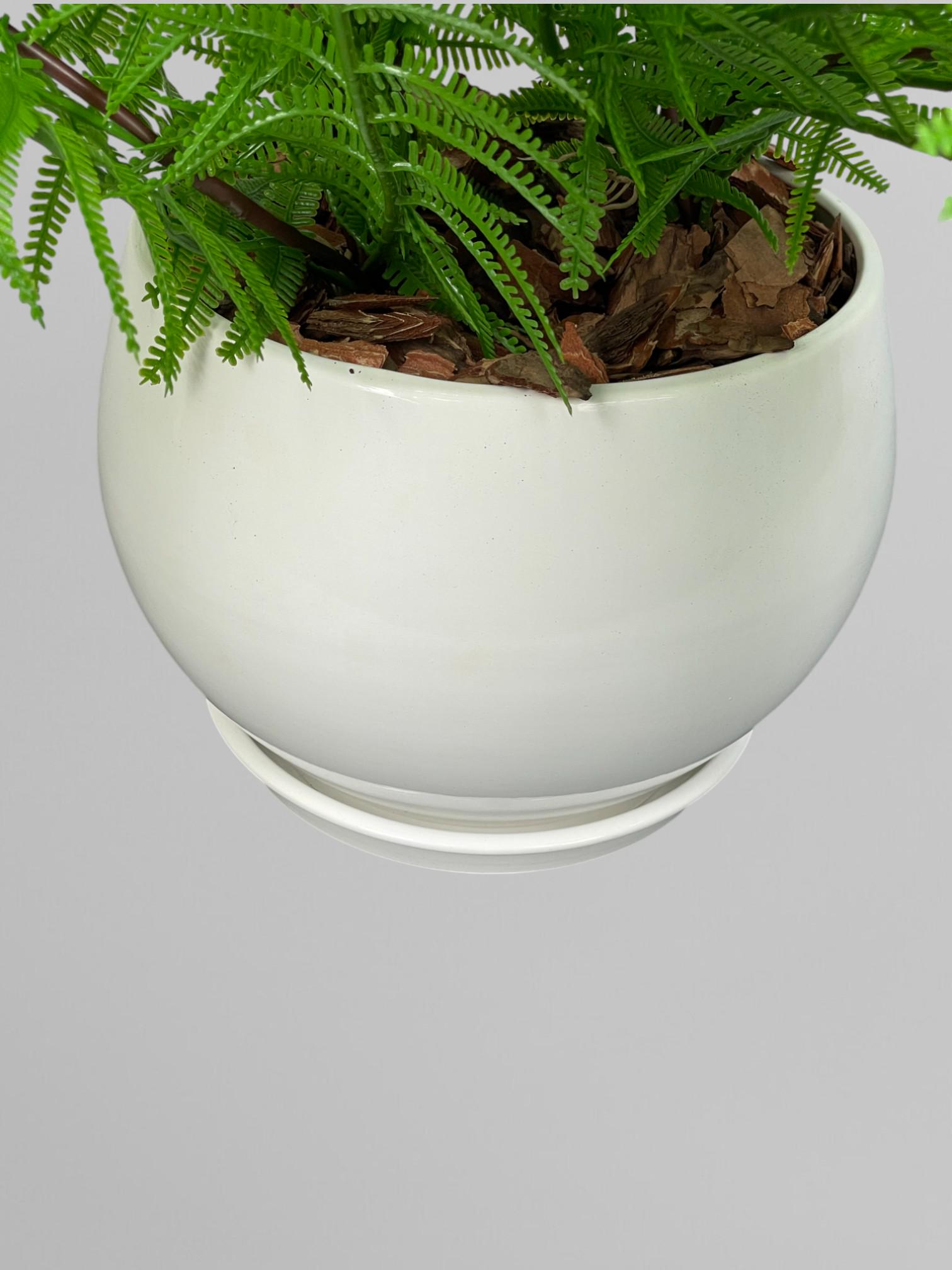 Композиция из искусственного папоротника в белом керамическом горшке Зеленый (А201) - фото 5 Композиция из искусственного папоротника в белом керамическом горшке Зеленый (А201) - фото 5
