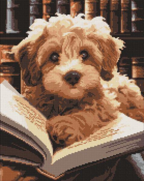 Алмазная мозаика Ideyka Пушистый читатель 40x50 см (Id-AMO7973)