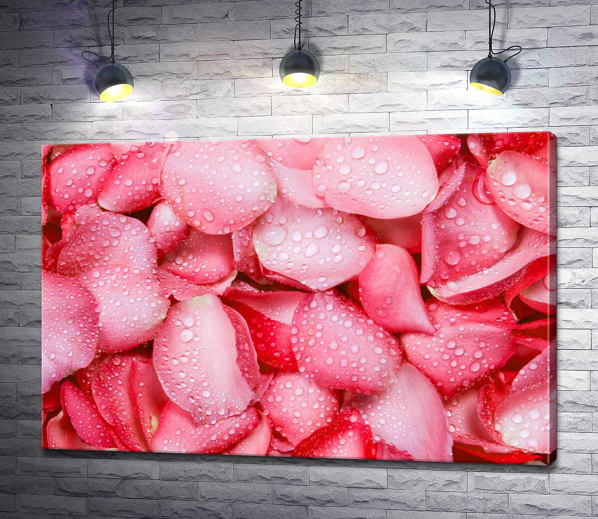 Картина ArtPoster Пелюстки троянд в крапельках води 100x67 см Модуль №1 (004345)