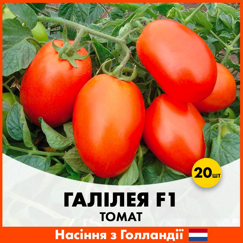 Семена томата Hazera Галилея F1 20 шт. (0020720)