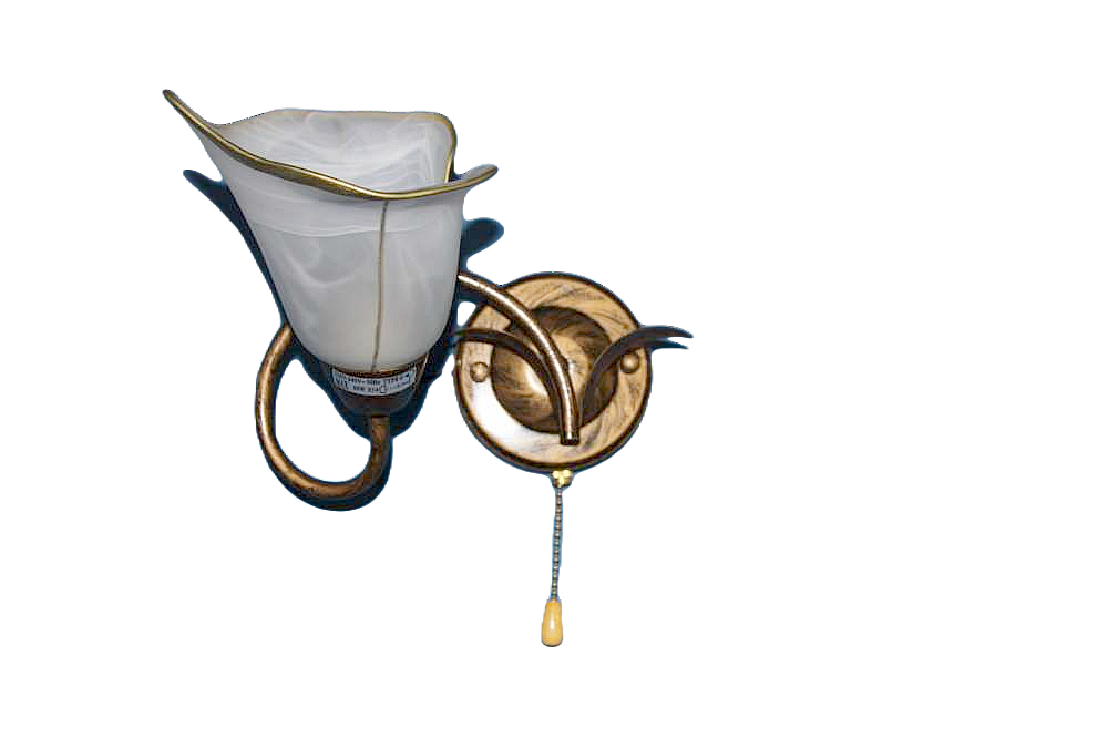 Бра з плафонами Ray B90528C/1 (IR005127)