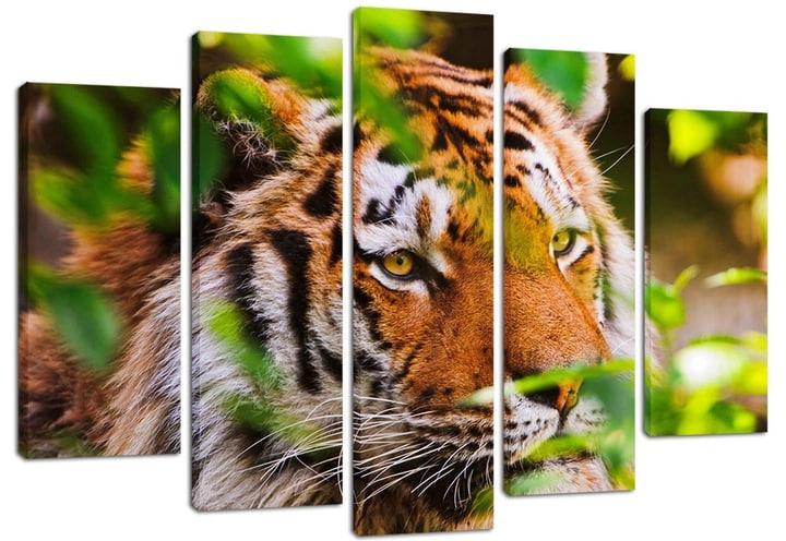 Картина модульная на холсте DK Тигр 80x108 см (PLM5-124)