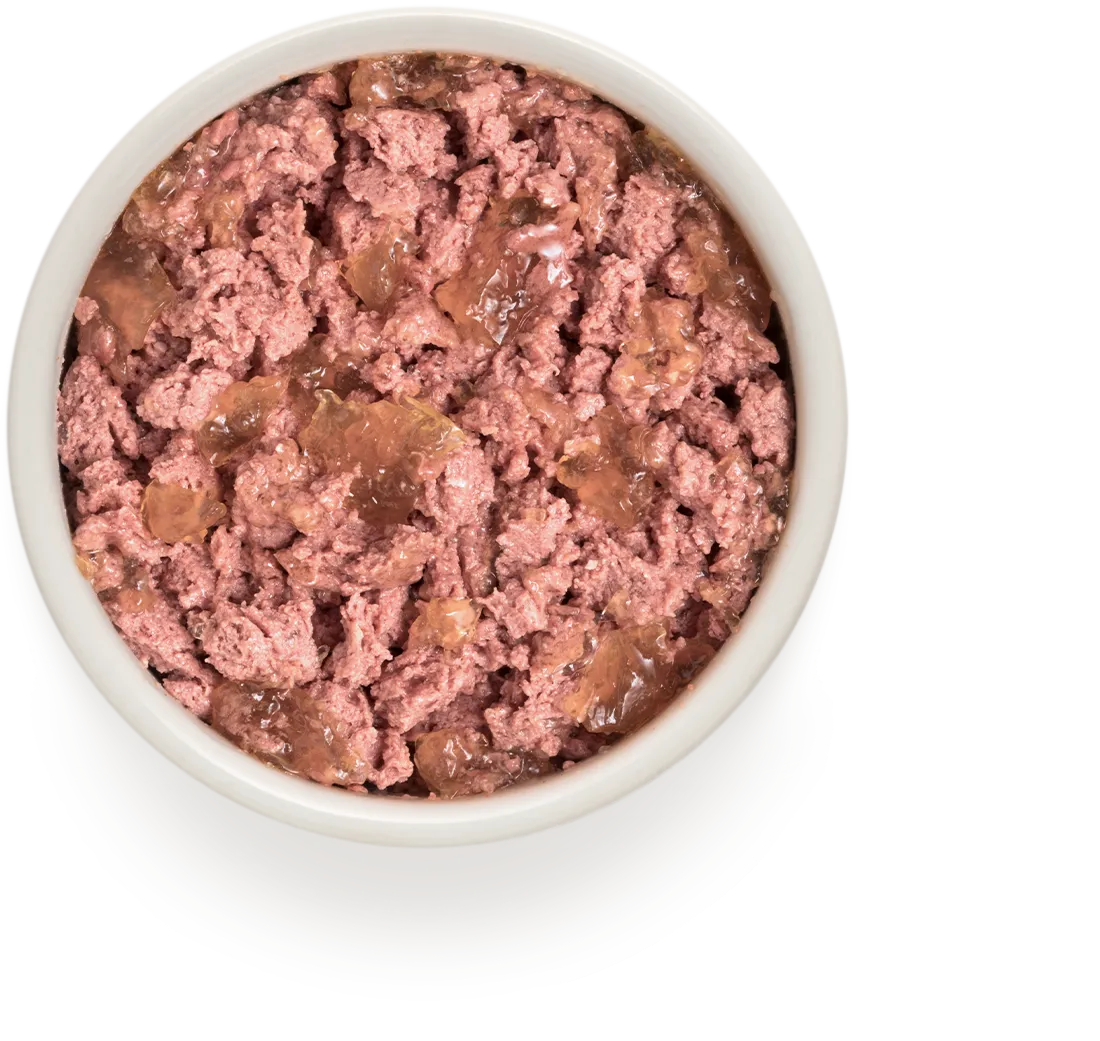 Корм влажный для взрослых собак Grandorf BUFFALO & TURKEY с мясом буйвола и индейкой 400 г - фото 2 Корм влажный для взрослых собак Grandorf BUFFALO & TURKEY с мясом буйвола и индейкой 400 г - фото 2