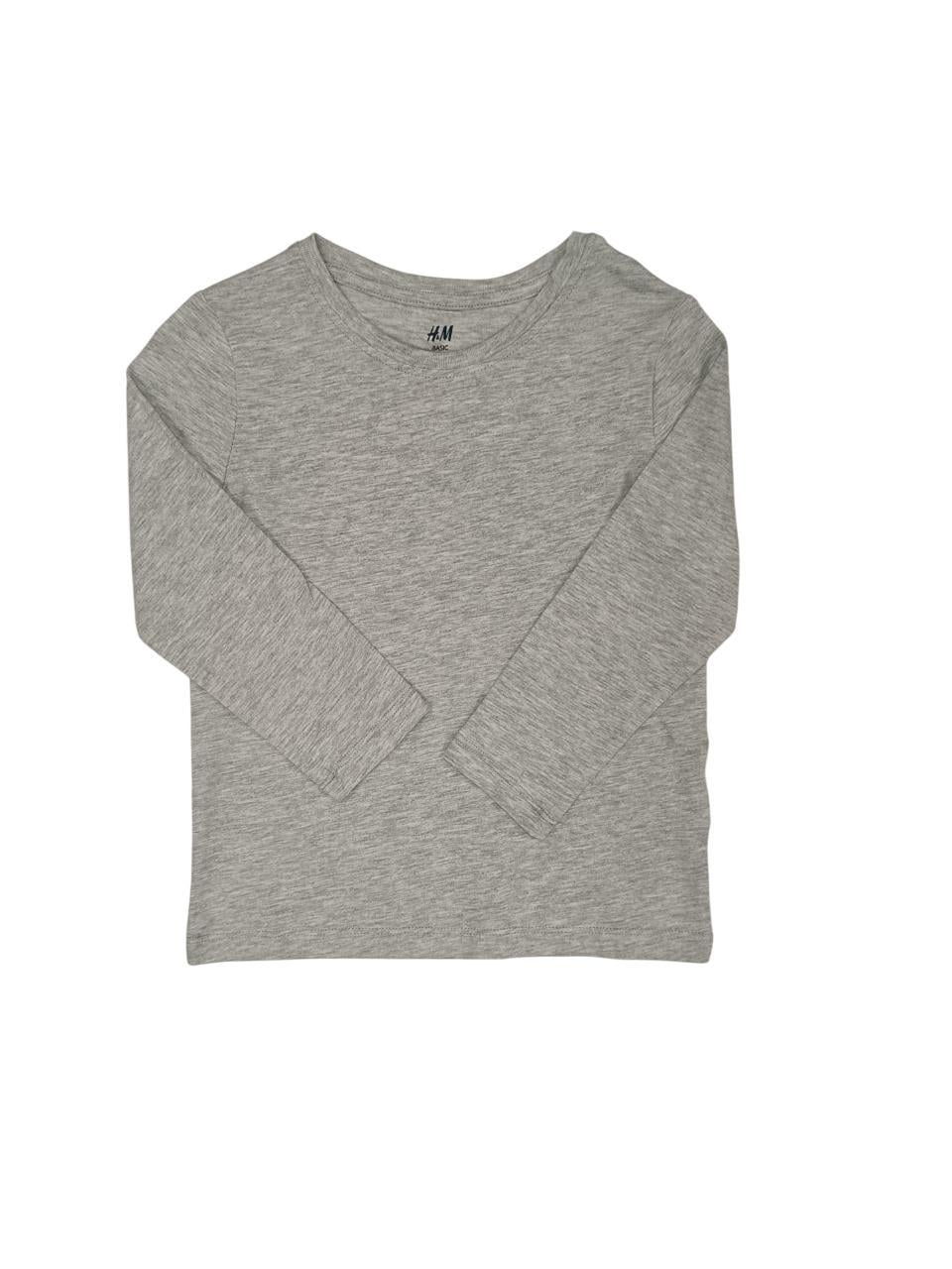 Лонгслів для хлопчика H&M 98-104 см Сірий (0575D)