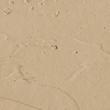 Краска меловая Borma Wachs Shabby Kreide Farbe Decoration Line 750 мл 116 Крем-брюле Tortora - фото 2