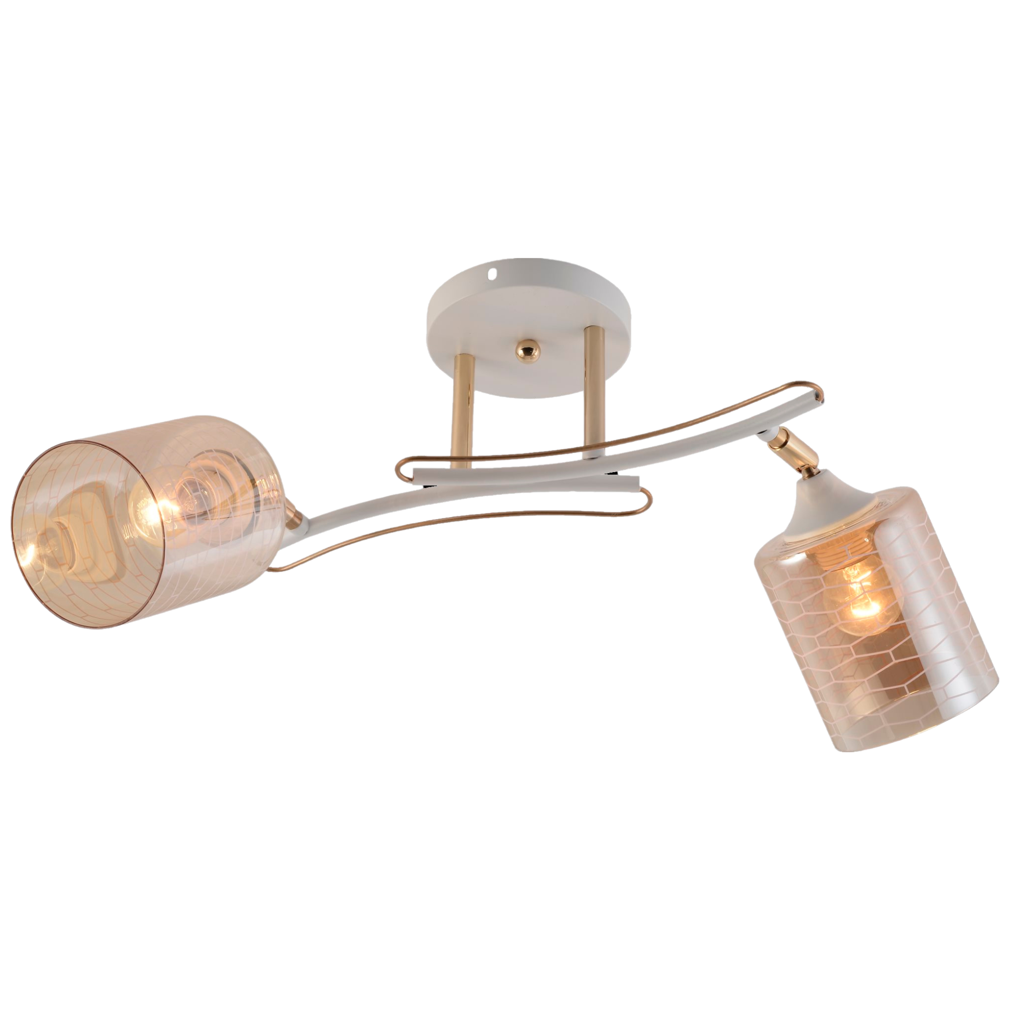 Люстра потолочная Valeso V XA1546C/2 WH+FGD с поворотным механизмом