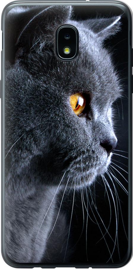 Чехол на Samsung Galaxy J3 2018 Красивый кот (3038u-1501-42517)