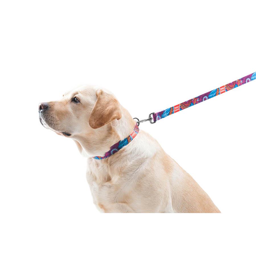 Нашийник для собак з QR-паспортом Waudog Nylon Літо пластиковий фастекс 20 мм 28-40 см Різнокольоровий (4588) - фото 6 Нашийник для собак з QR-паспортом Waudog Nylon Літо пластиковий фастекс 20 мм 28-40 см Різнокольоровий (4588) - фото 6