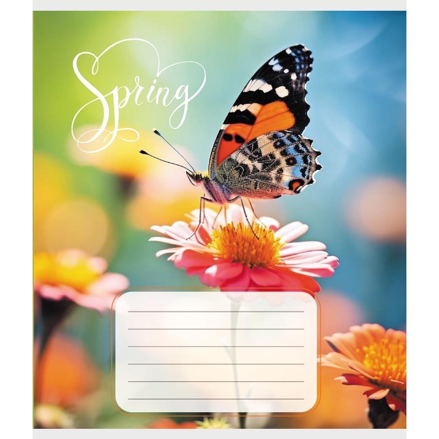 Шкільний зошит Метелик весною 018-530216K-3 в клітинку 18 аркушів (RLT55209)