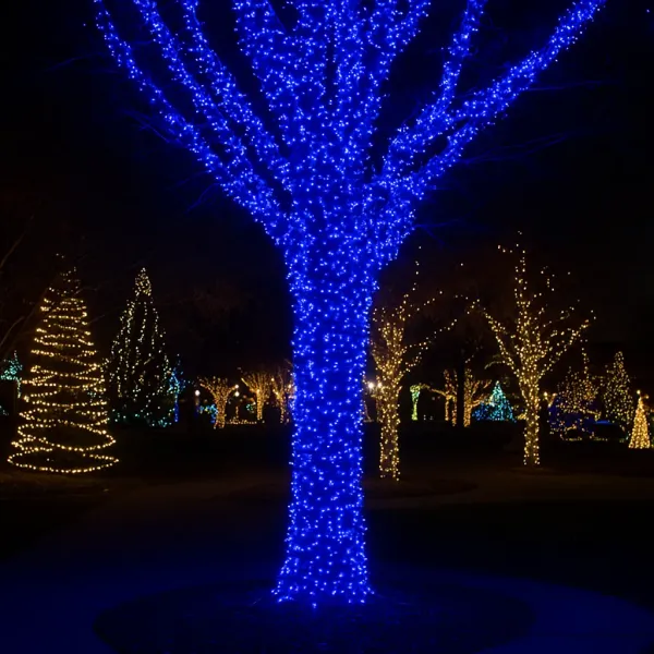Гирлянда уличная Нить 1000 LED от сети 100 м Синий (21-107-CF1000L100MBBL)