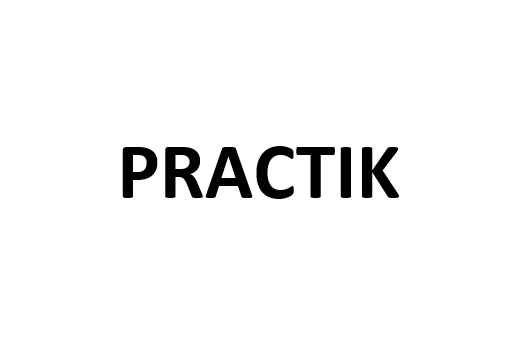 PRACTIK PRACTIK
