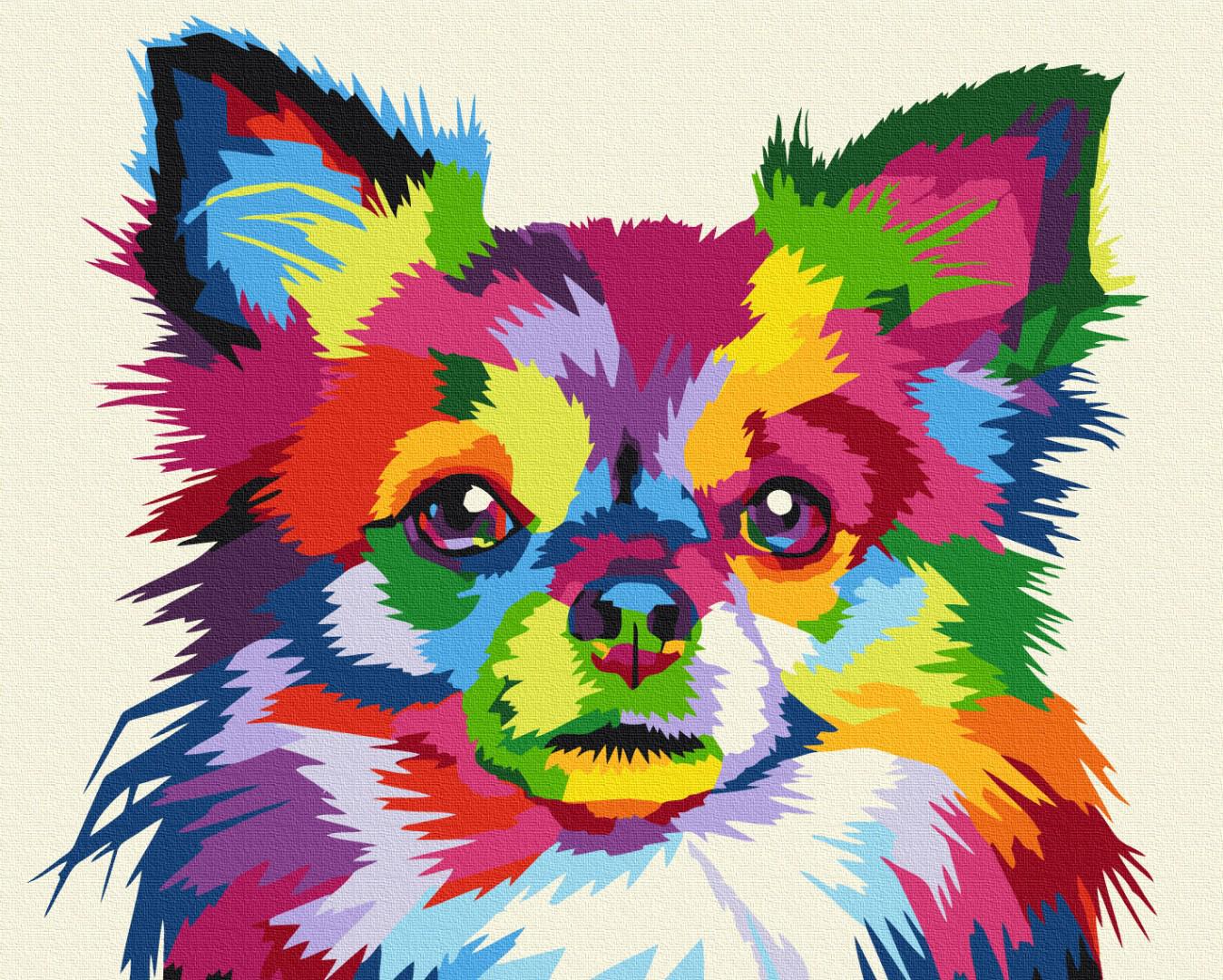 Картина по номерам Brushme Разноцветный собака 48x60 см (BS51761L)