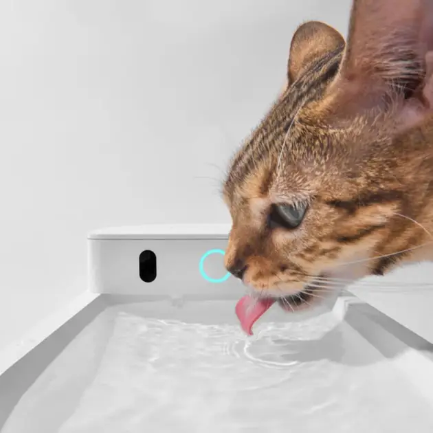 Поїлка CATLINK AI Water Fountain-Wireless White - фото 3