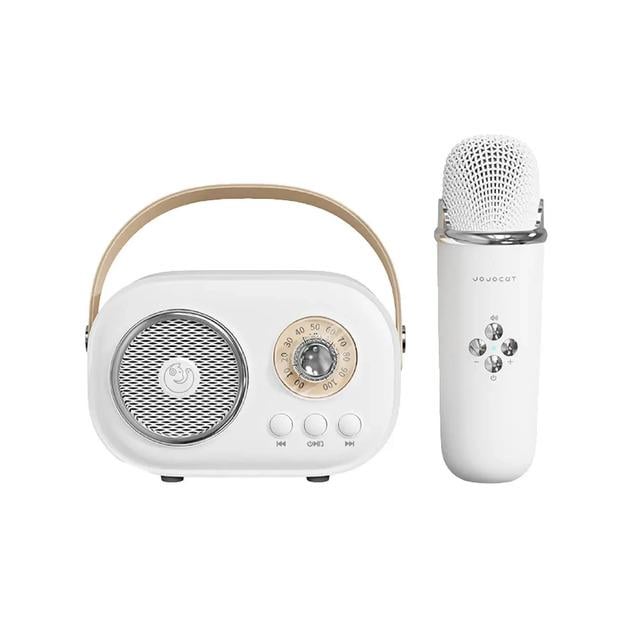 Колонка Ретро-Караоке C20 PLUS с беспроводным микрофоном Bluetooth Белый (343434356355353)
