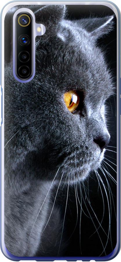Чехол на Realme 6 Красивый кот (3038u-1913-42517)