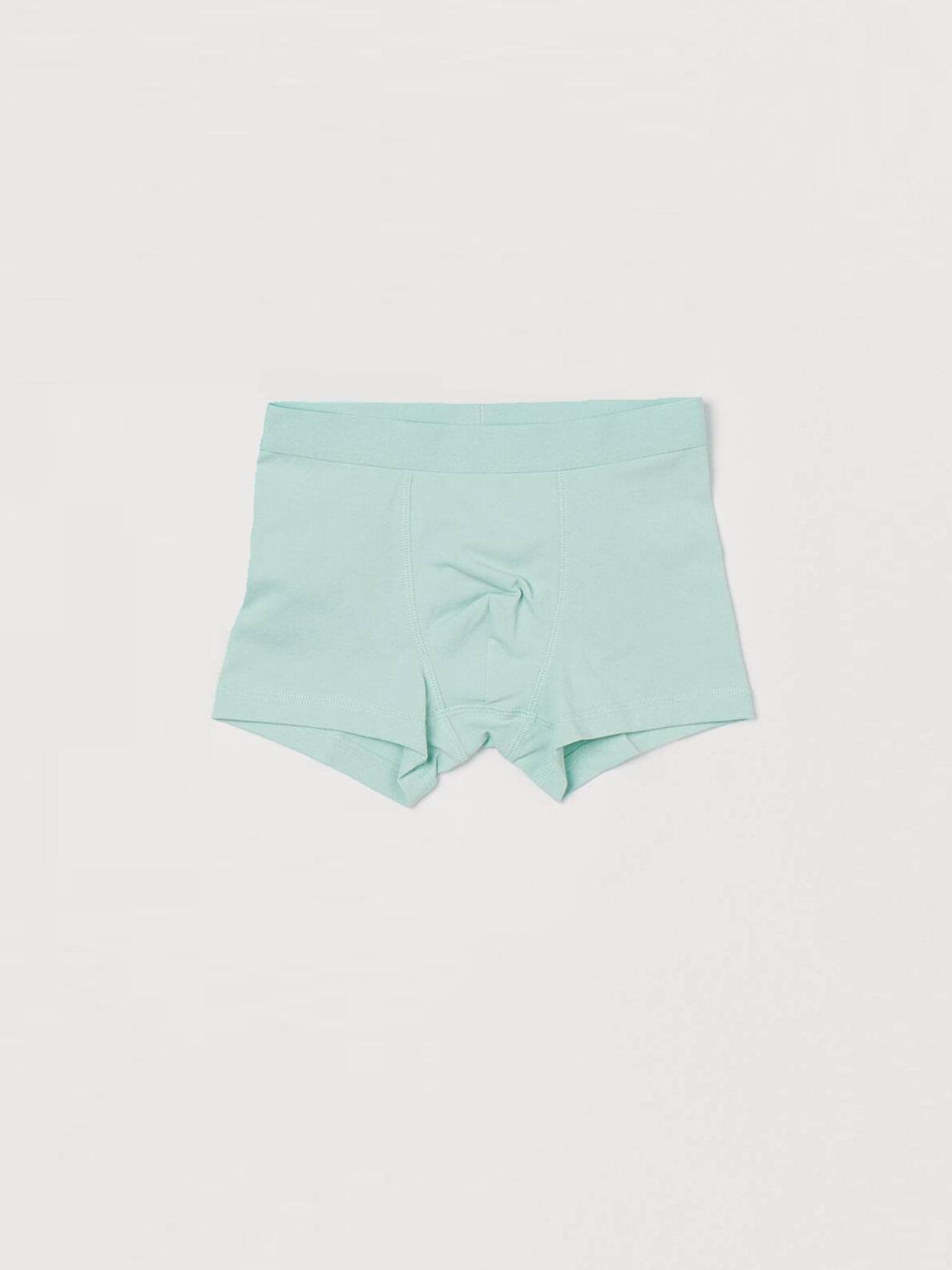 Труси H&M 122-128 см М'ятний (А4115895206) Труси H&M 122-128 см М'ятний (А4115895206)