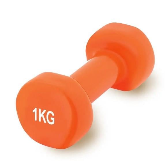 Гантель вінілова PowerPlay PP-4103 1 кг 1 шт. Помаранчевий (PP_4103_1kg)