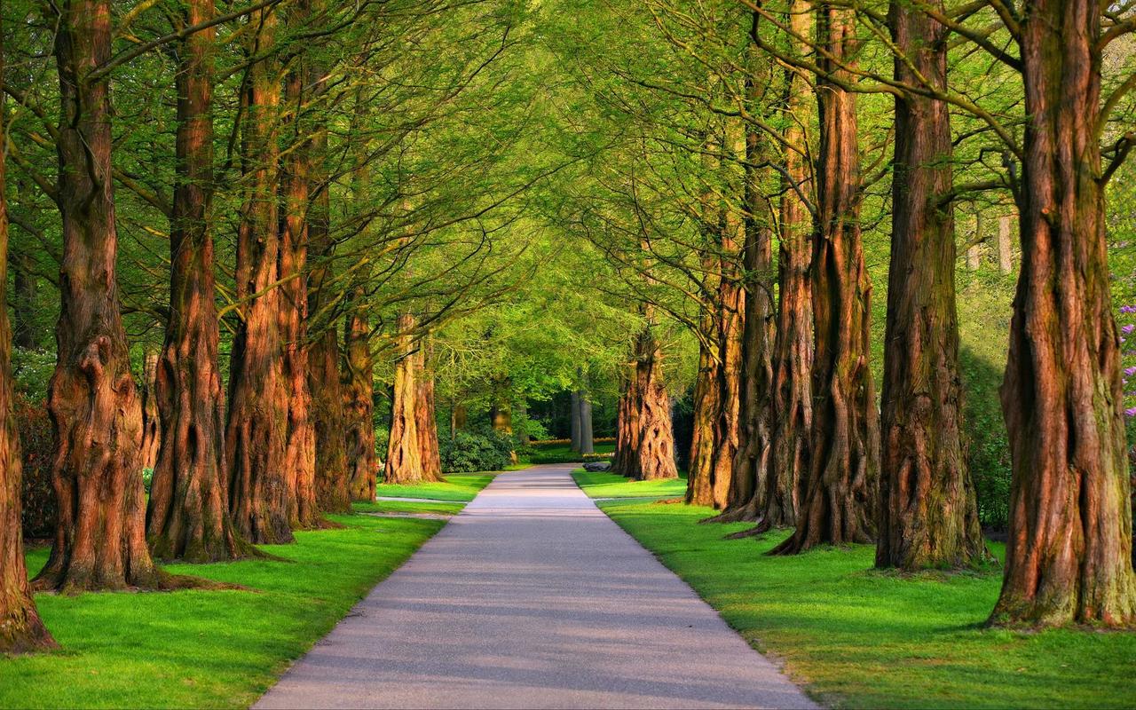 Картина на полотні Дорога 40x30 см (PR453)