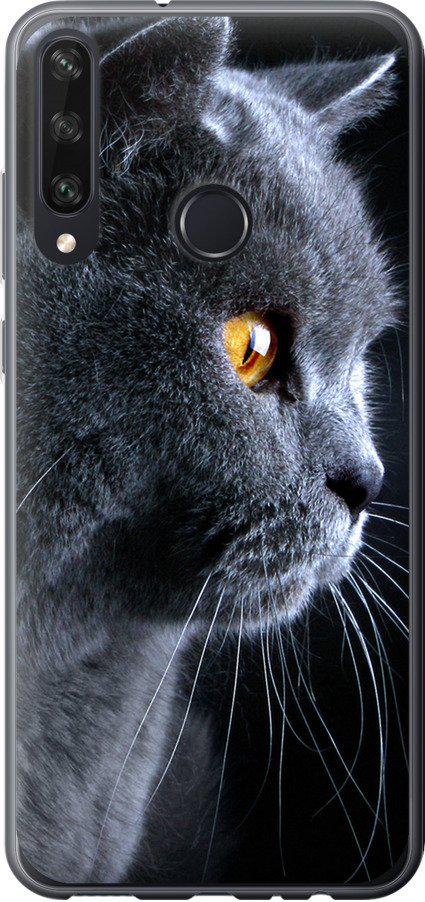 Чехол на Huawei Y6p Красивый кот (3038t-1952-42517)