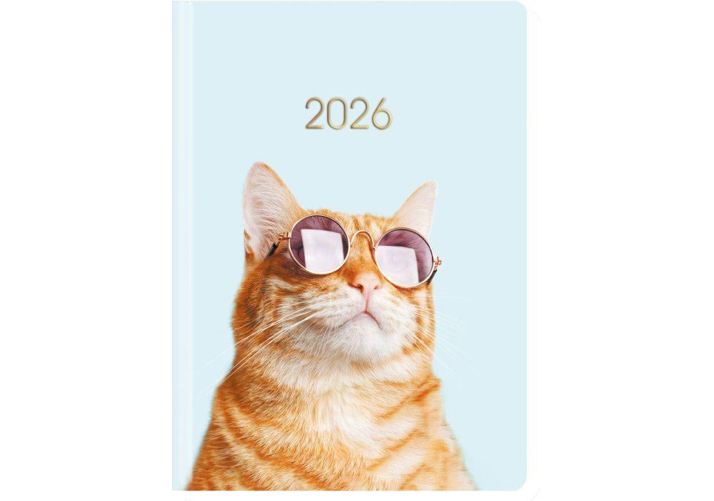 Дневник датированный 2026 Economix Color A5 336 стр. Разноцветный (E21843)