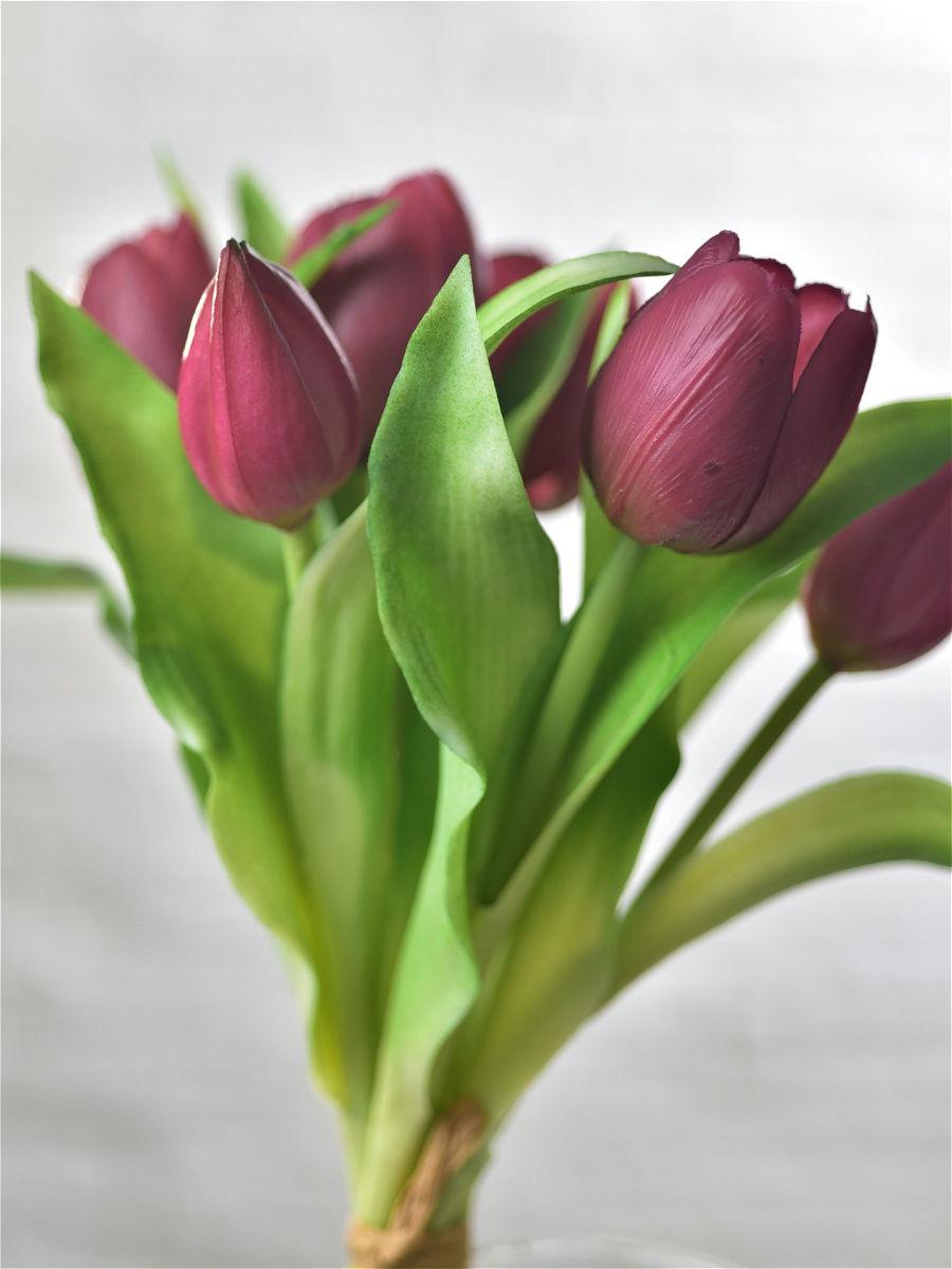 Тюльпан букет Indigo Premium 7 голов 30 см Темно-фиолетовый (73229-4) - фото 4