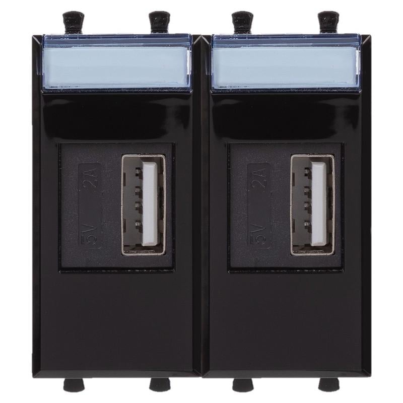 Розетка ДКС Avanti USB 2,1А 5В 2 модуля Черный (4402542)