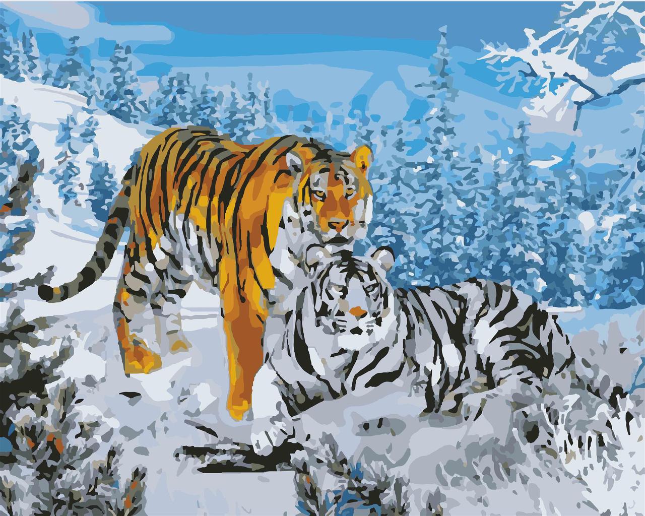 Картина по номерам Идейка Два тигра 40x50 см (skl-КНО194)