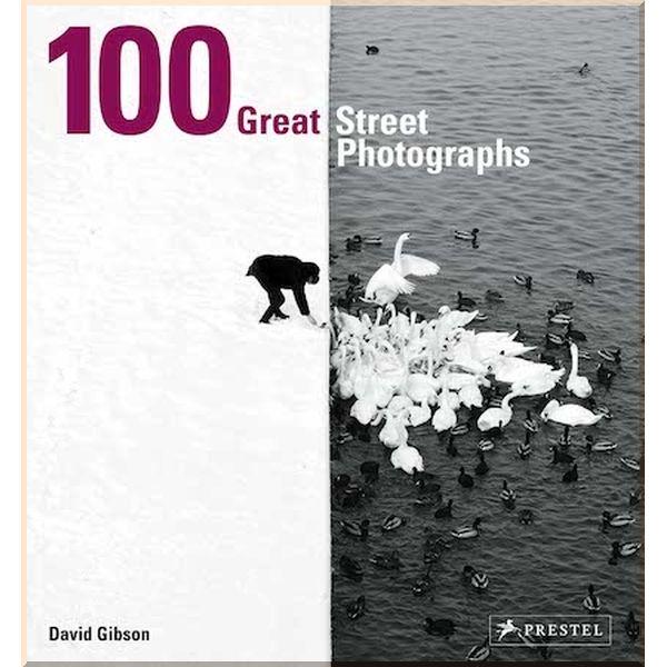 Книга David Gibson "100 Great Street Photographs" (ISBN:9783791384382)