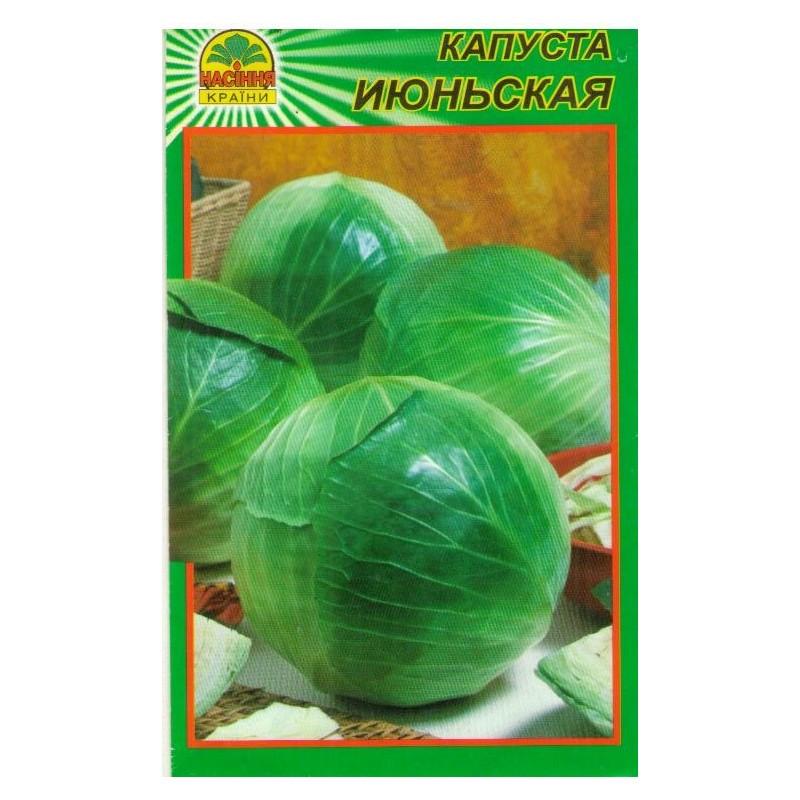 Семена капусты Насіння країни Июньская 1 г (1137297632)