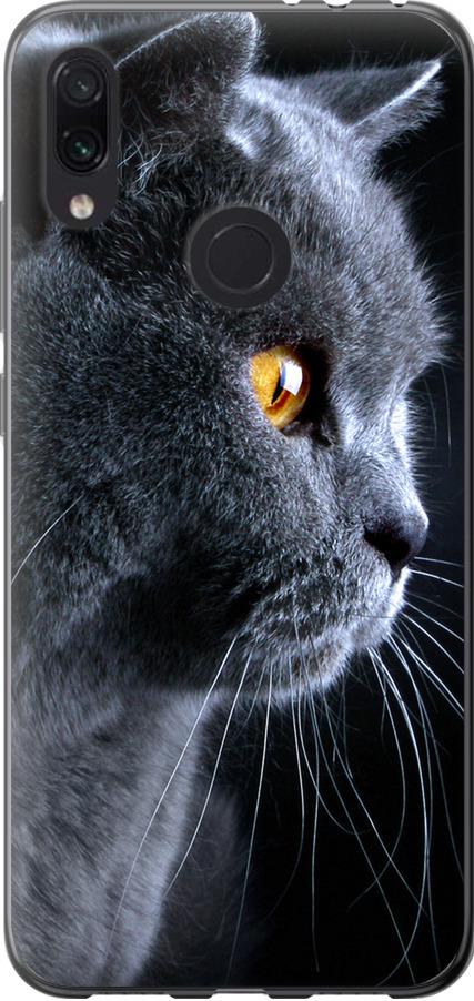 Чехол на Xiaomi Redmi Note 7 Красивый кот (3038u-1639-42517) Чехол на Xiaomi Redmi Note 7 Красивый кот (3038u-1639-42517)