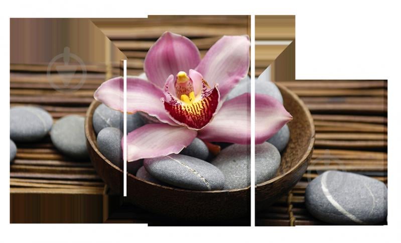 Модульная Картина Декор Карпаты Классическая Коллекция s419  163х90см Орхидея в горшочке (hub_TTNY90402)