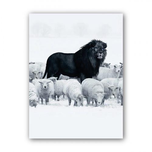 Картина Black Lion 45x60 см (P0464)