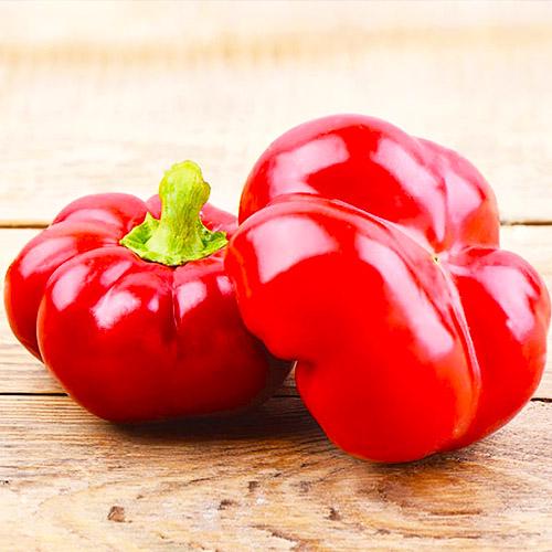 Насіння Перець Florium Ратунда пакет гігант (12241) Насіння Перець Florium Ратунда пакет гігант (12241)