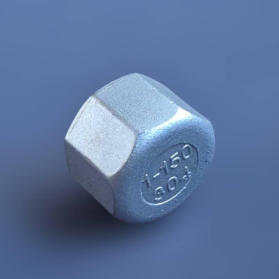 Заглушка різьбова восьмигранна DN25 BSPP н/ж сталь AISI304 Class-150 внутрішня різьба 1" (29203227) - фото 2 Заглушка різьбова восьмигранна DN25 BSPP н/ж сталь AISI304 Class-150 внутрішня різьба 1" (29203227) - фото 2