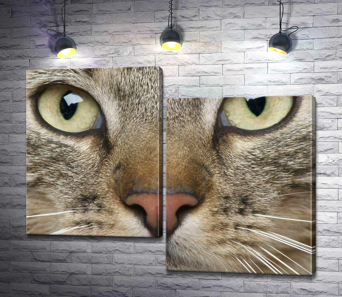 Модульная картина ArtPoster Сосредоточенный взгляд зеленых глаз кота 100x79 см Модуль №5 (000742)