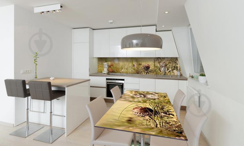 Наклейка виниловая на стол Zatarga «Грибы» 600х1200 мм Z180537st