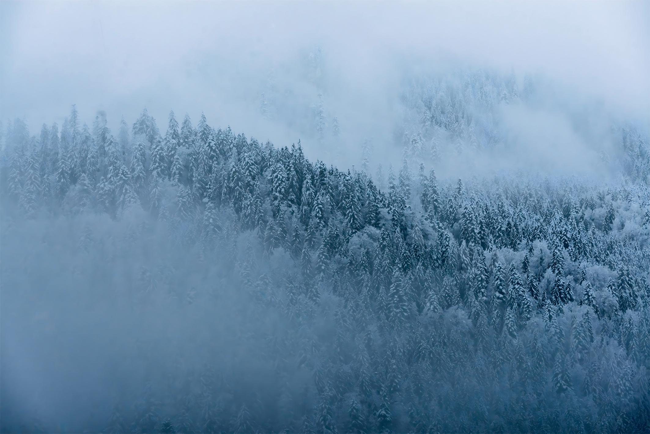 Фотообои флизелиновые Upstream Зимний лес 180х120 см (S5NTR-114/2)