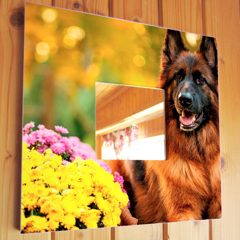 Зеркало декоративное Немецкая Овчарка 260х260 мм (M03729)
