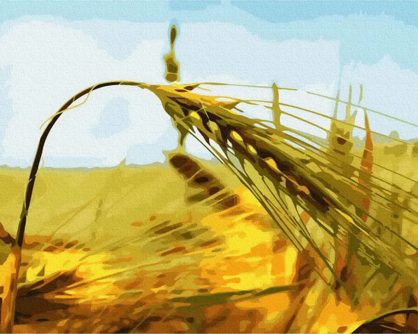 Картина по номерам Brushme Пшеничное поле 40x50 см (BRM6633)