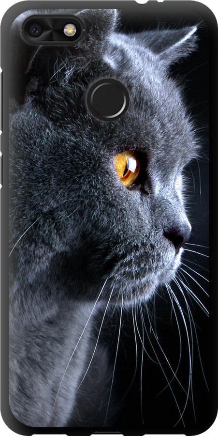Чехол на Huawei Nova Lite 2017 Красивый кот (3038b-1400-42517)