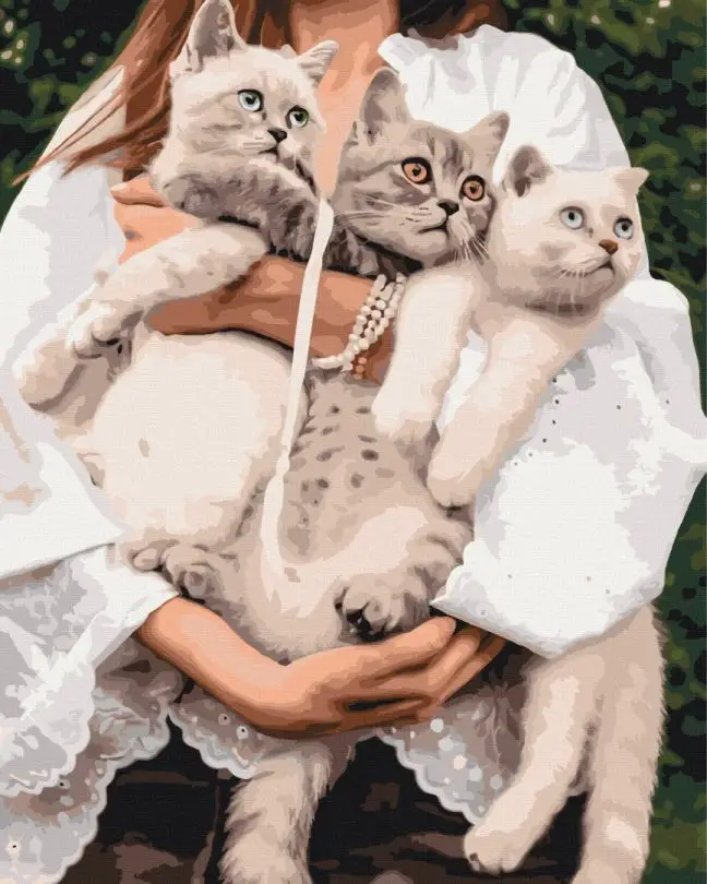 Картина по номерам Brushme Любимые муркотики 40x50 см (BSM-B52508)
