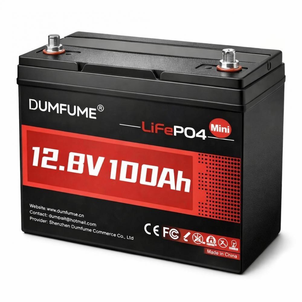 Аккумулятор LiFePO4 Dumfume с BMS 12V 100 Ah (30469)