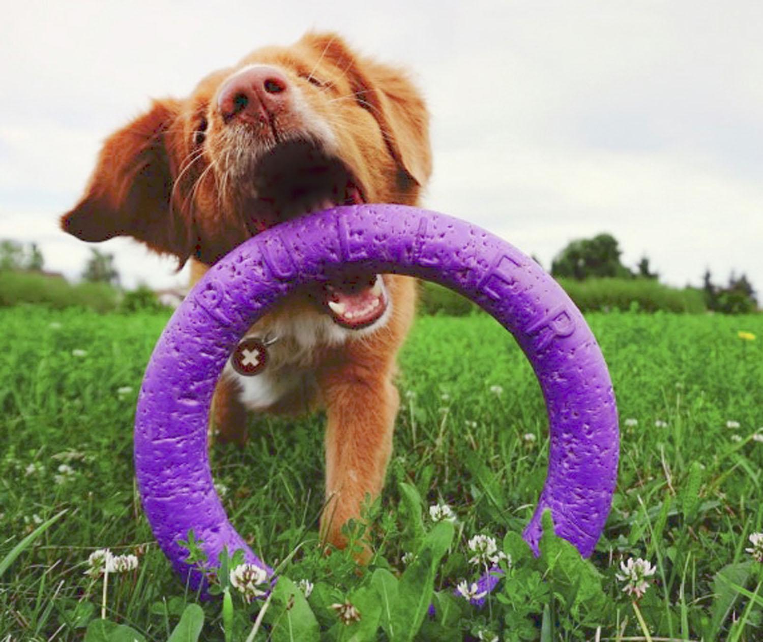 Тренувальний снаряд для собак Puller Standard 28 см (6490) - фото 13