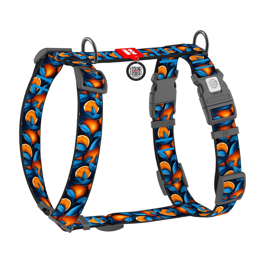 Шлейка для собак с QR-паспортом WAUDOG Nylon Апельсины пластиковый фастекс XL 35 мм A 60-100 см/B 70-100 см Blue (347-4054) - фото 1 Шлейка для собак с QR-паспортом WAUDOG Nylon Апельсины пластиковый фастекс XL 35 мм A 60-100 см/B 70-100 см Blue (347-4054) - фото 1