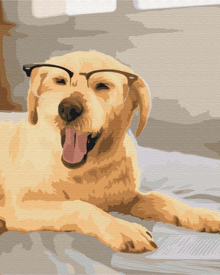 Картина по номерам Brushme Умный друг 48x60 см (BS52450L)