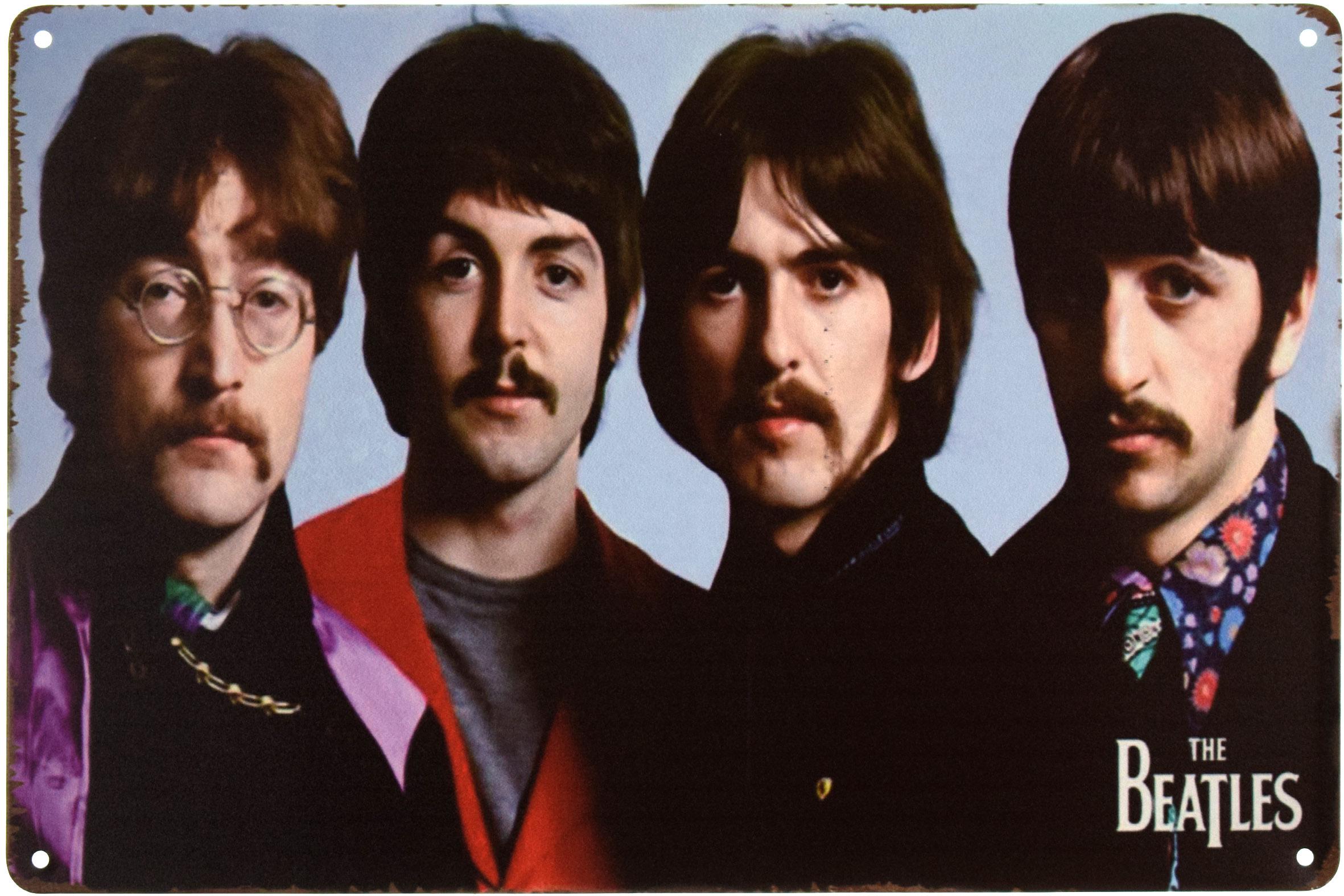 Табличка металлическая The Beatles Усы 20x30 см