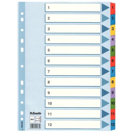 Разделители страниц Esselte Mylar А4 12 шт. Разноцветный (100162)