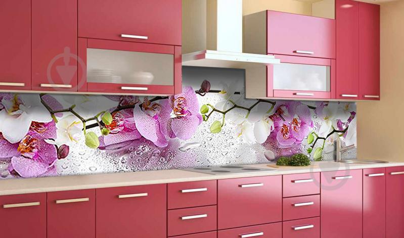 Наклейка виниловая кухонный фартук Zatarga "Пышные Орхидеи" 600х2500 мм (Z181385) Наклейка виниловая кухонный фартук Zatarga "Пышные Орхидеи" 600х2500 мм (Z181385)